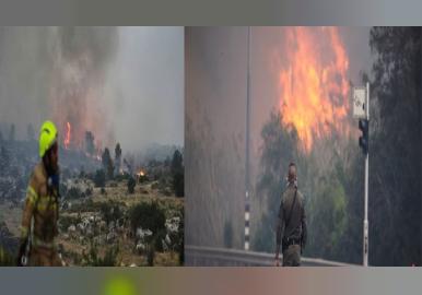 ഇസ്രയേലിൽ കാട്ടുതീ പടരുന്നു; ആയിരക്കണക്കിന് ആളുകളെ ഒഴിപ്പിച്ചു