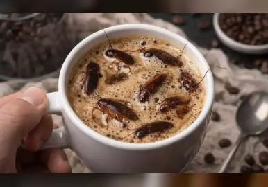 ചൈനയില്‍ വൈറലായി 'പാറ്റ കോഫി';